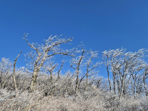 Les secrets d'un cœur en bonne santé